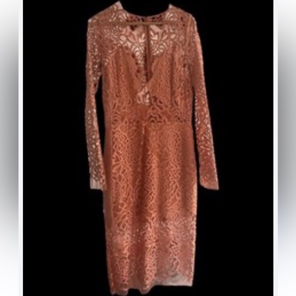 Michelle Mason Elegant Lace Dress in Coral